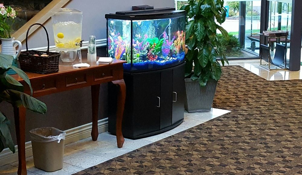 Quality Inn Kamloops Eksteriør bilde