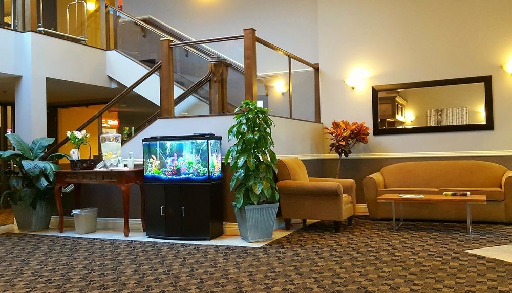 Quality Inn Kamloops Eksteriør bilde